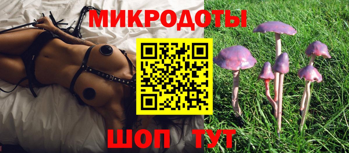 Псилоцибиновые грибы прущие грибы Каменск-Шахтинский
