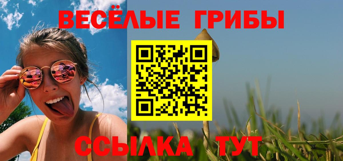 Каменск-Шахтинский  Псилоцибиновые грибы ЛСД  что такое   Вход с VPN 